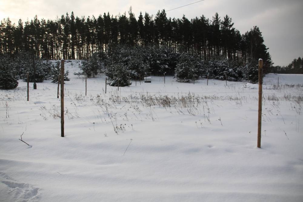 jeszcze zimową porą